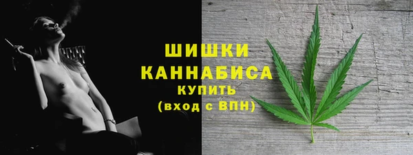 ECSTASY Новозыбков