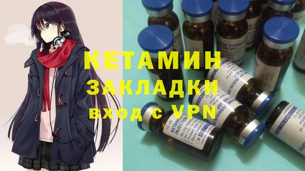 стафф Новодвинск