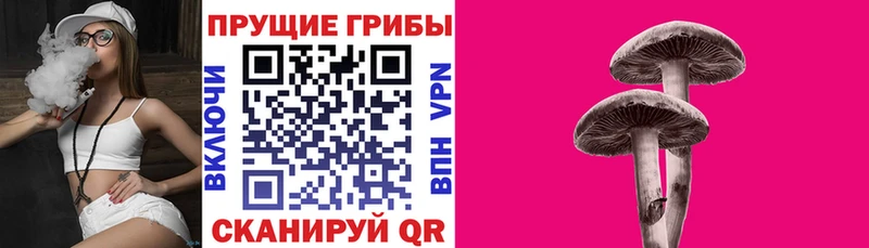 мега ONION  Сухой Лог  Галлюциногенные грибы мицелий 