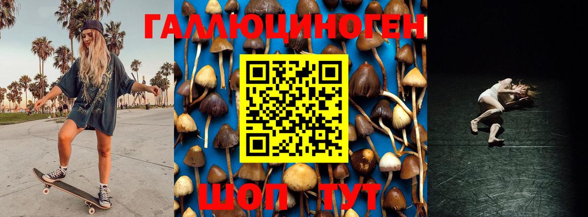 Псилоцибиновые грибы мухоморы  Вход с VPN  Сухой Лог 