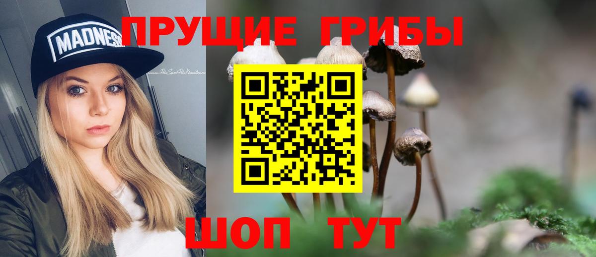 Псилоцибиновые грибы прущие грибы Сухой Лог